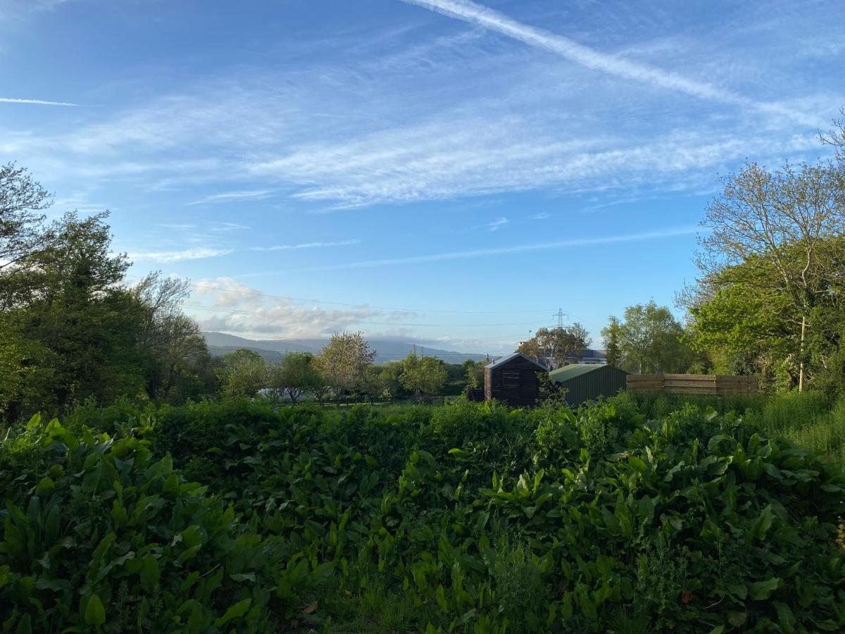 Cosy Double Shepherds Hut In Beautiful Wicklow With Underfloor Heating Throughout Rathnew Экстерьер фото